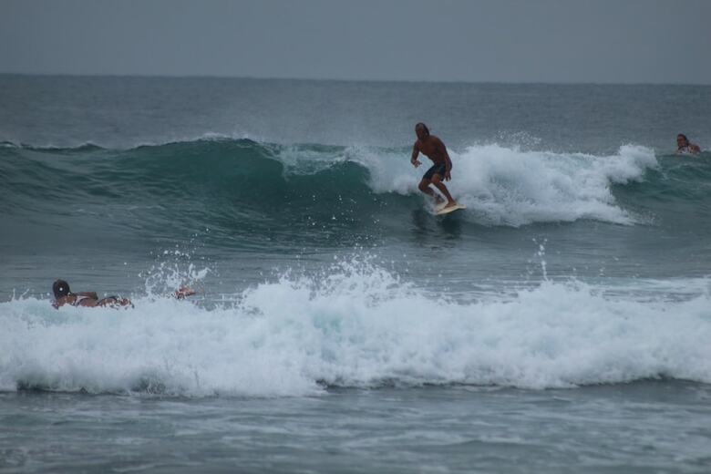 Hotel Senani Guesthouse