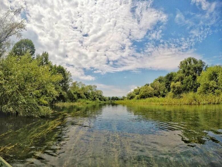 Hotel Lotus House Dodosi