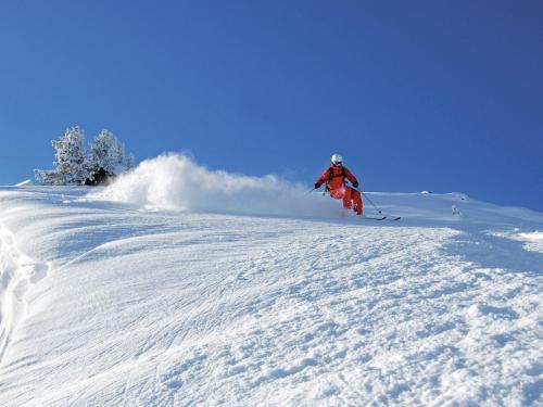 Chalet Hauser