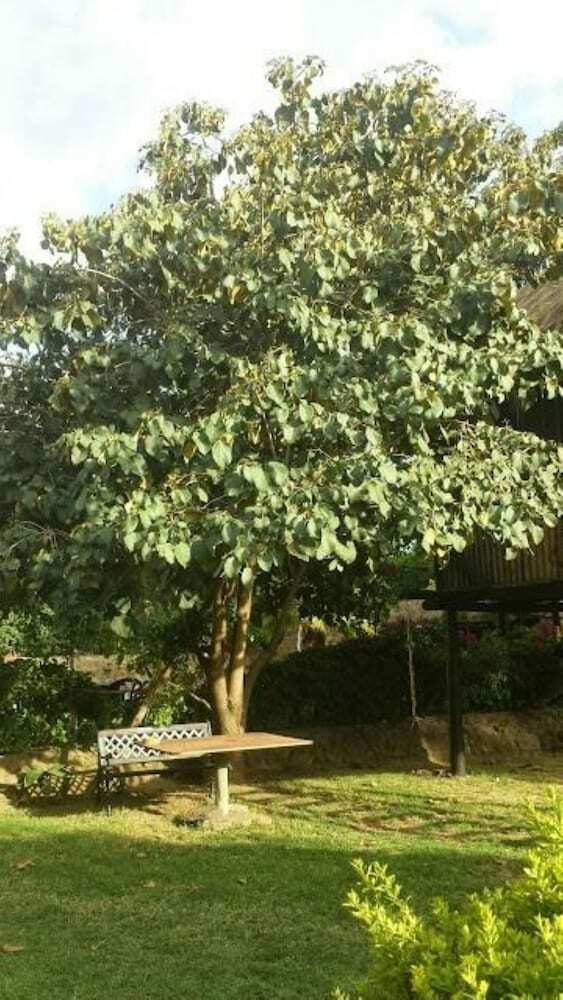 Bed & Breakfast Guest House Jane Naivasha