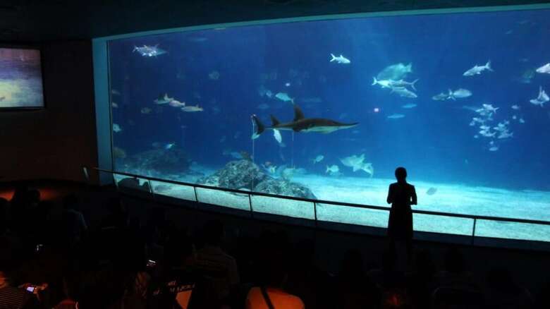 Hostal Taiwan Dive Resort - Hostel
