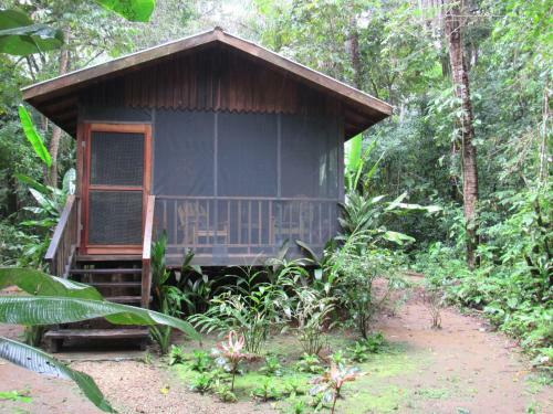 Macaw Bank Jungle Lodge