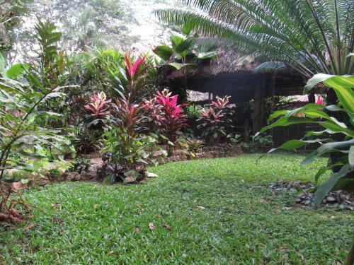 Macaw Bank Jungle Lodge