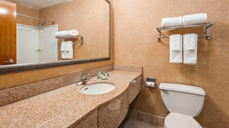 Best Western Gwinnett Center Hotel