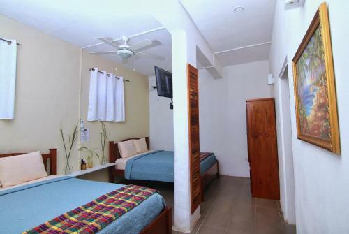 Posada Rainforest Haven Inn