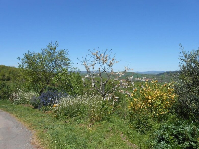 Bed & Breakfast Chambre D'hotes Des Monts