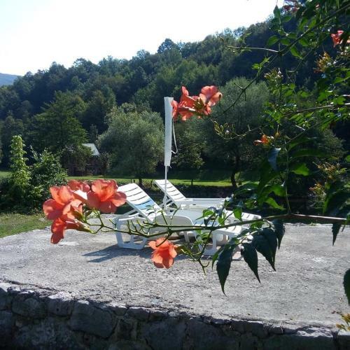 Bed & Breakfast Saraj Guest House