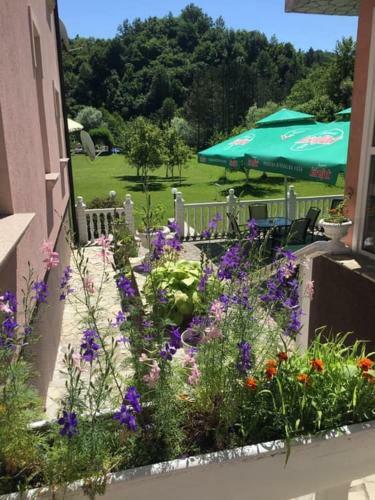 Bed & Breakfast Saraj Guest House