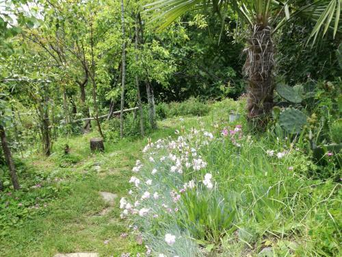 Hostal Guest House Fanny