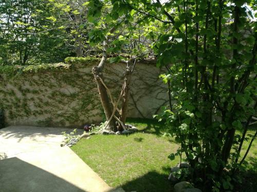 Hostal Guest House Fanny