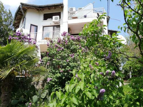 Hostal Guest House Fanny