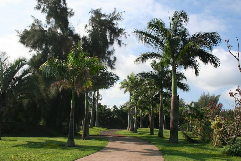 Hotel Hawaii Island Retreat