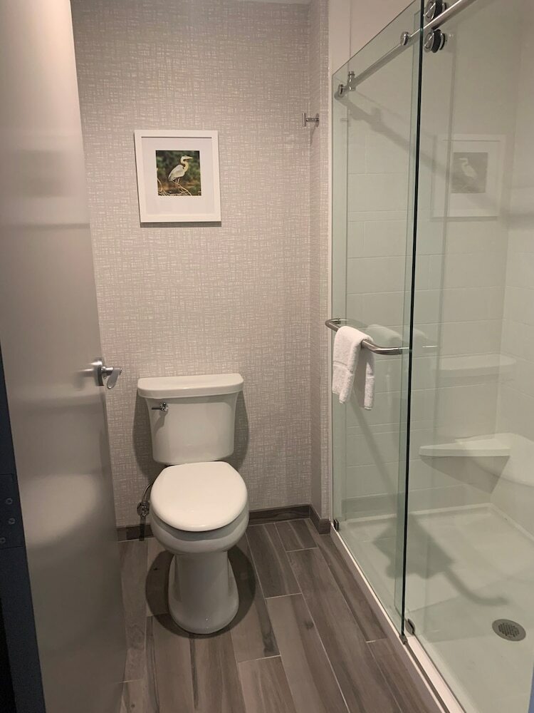 Hotel Hampton Inn & Suites Tampa Riverview Brandon, Fl