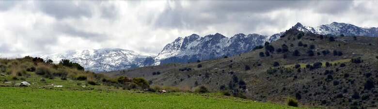 Green Peaks B&B