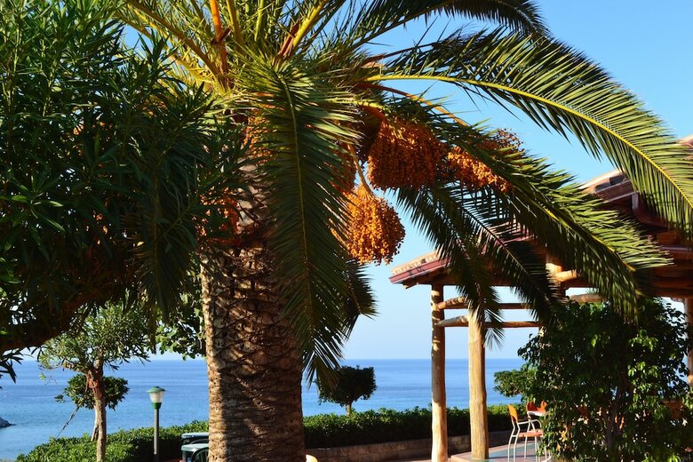 Posada New Paradise Hotel-residence
