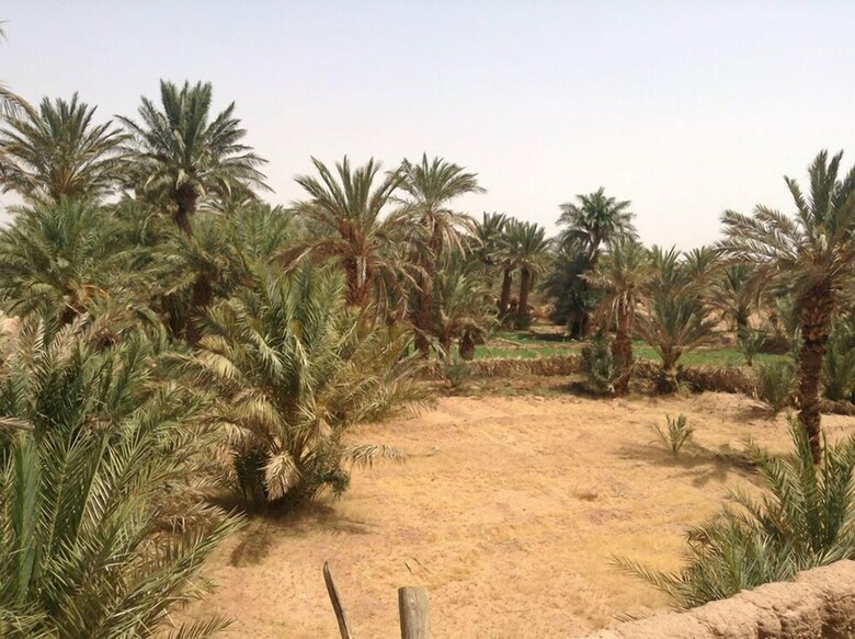 Hotel The Za�d Garden