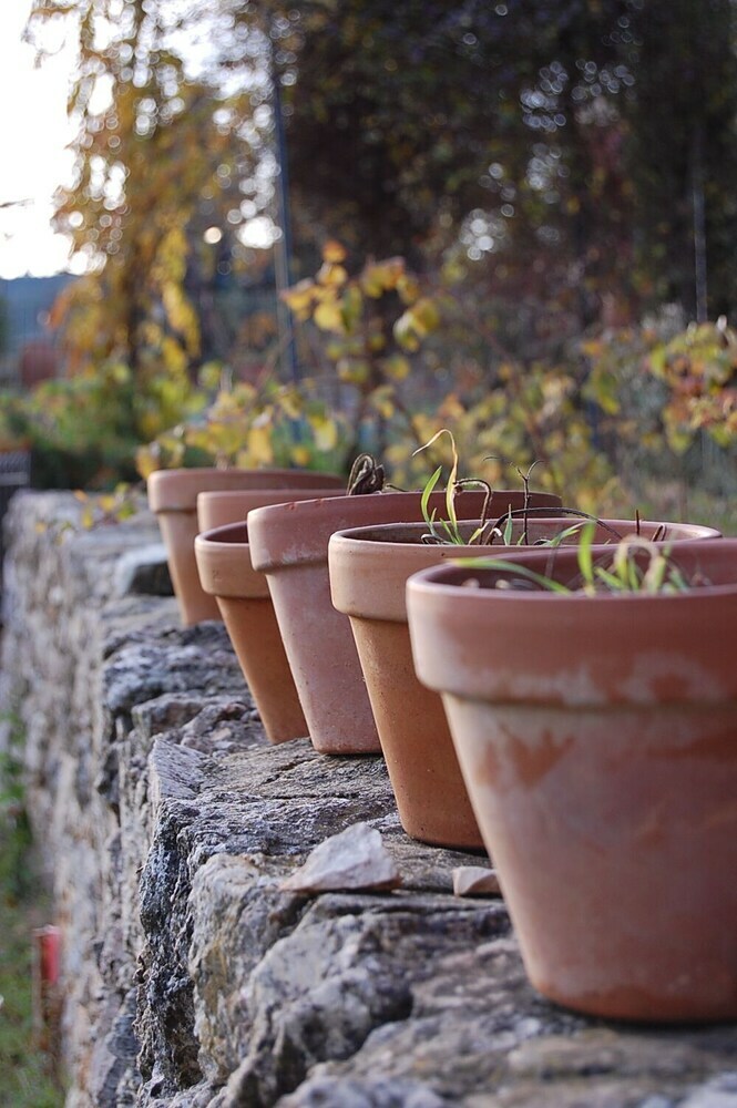 Agroturismo Chez Elles En Provence