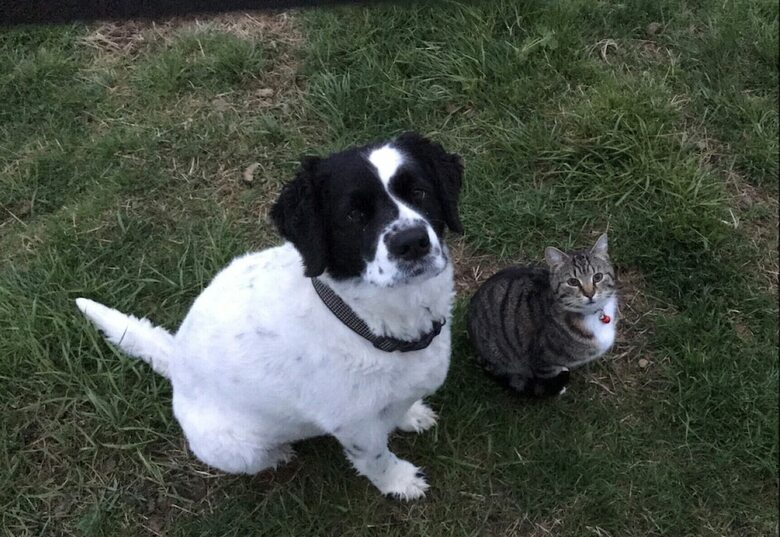 Hotel �sahraun Guesthouse