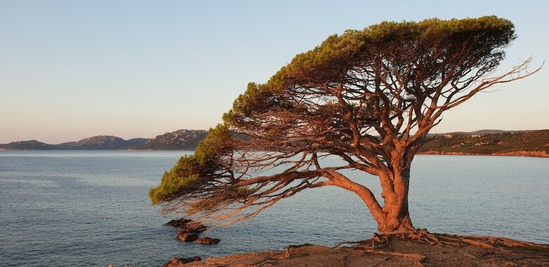 Villa Residence Liccia Di Furu