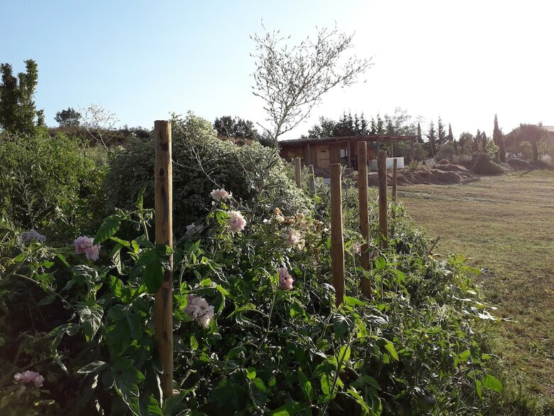 Cabanes Tr�sors de Campagne