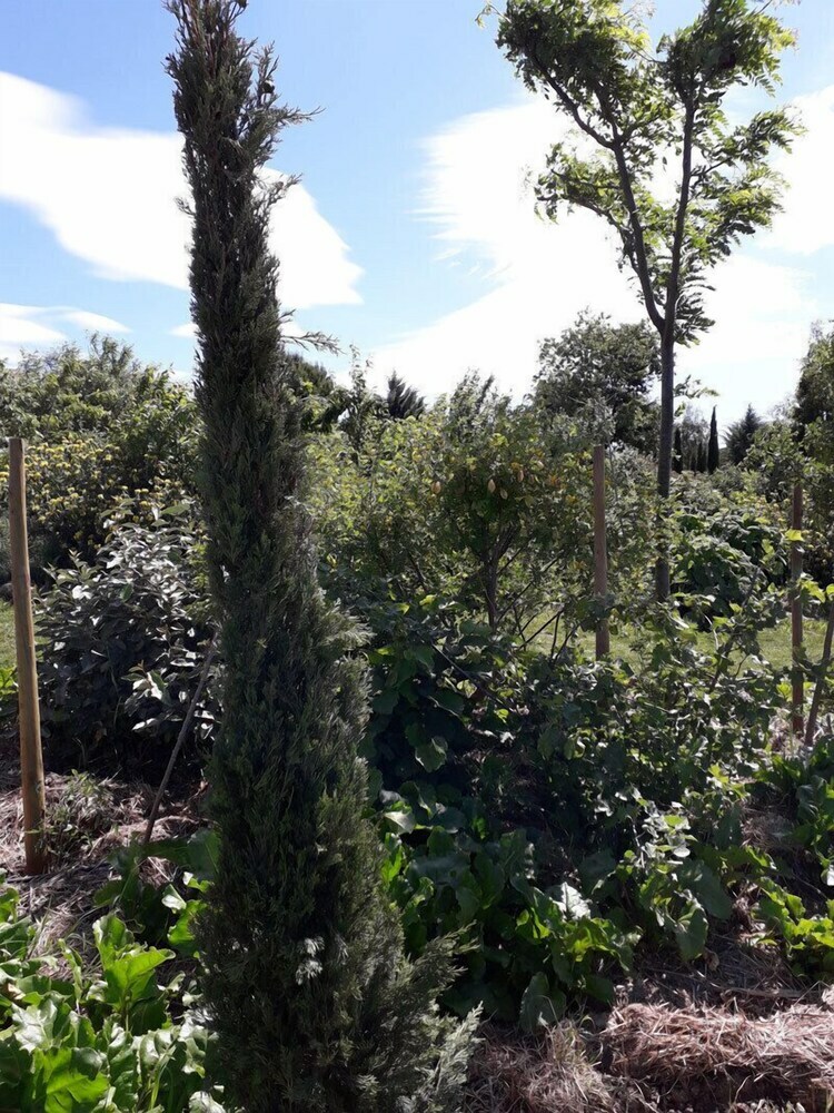 Cabanes Tr�sors de Campagne