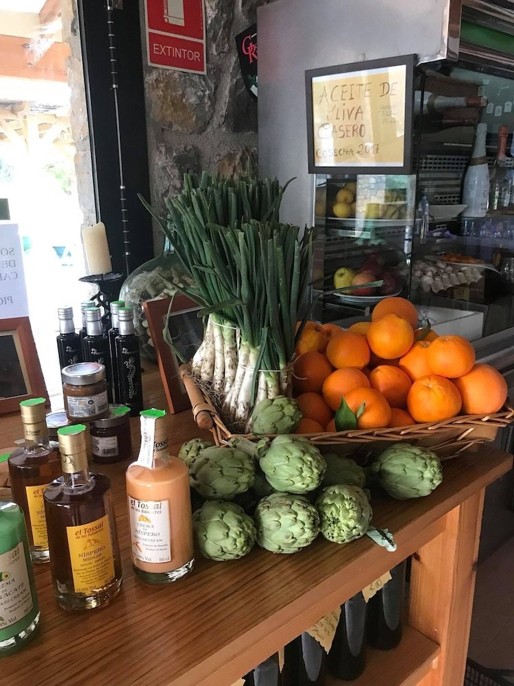 Camping Fontsdelalgar