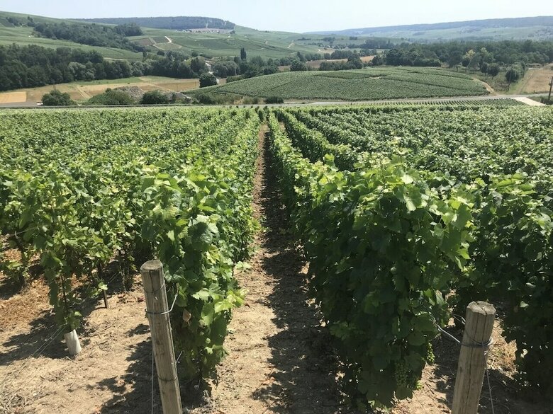 Apartamentos Le Secret de Louise