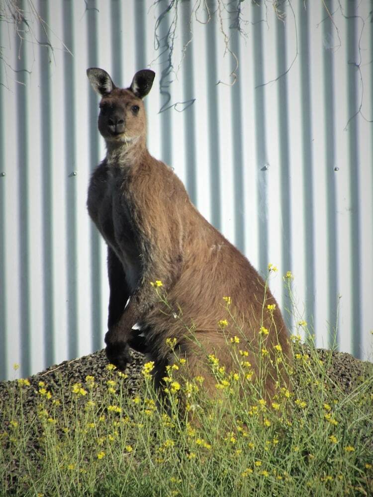 Gilligan's Kangaroo Island