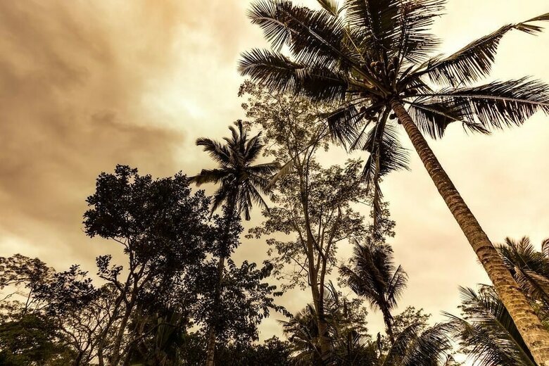 Bed & Breakfast Be Bali Hut Farm Stay