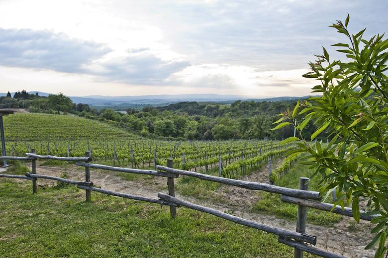 Agroturismo Agriturismo Oliviera