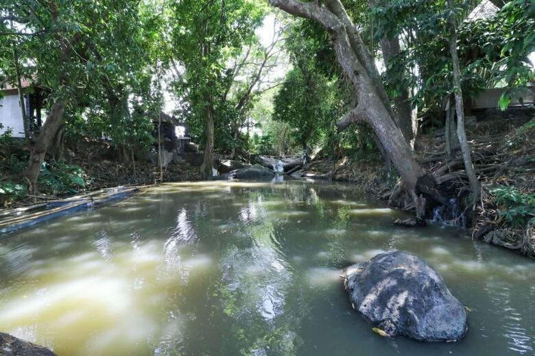 Hotel Mahamustika Riverview