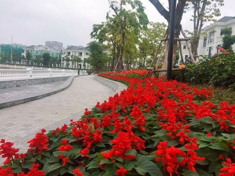 D'capitale Apartments