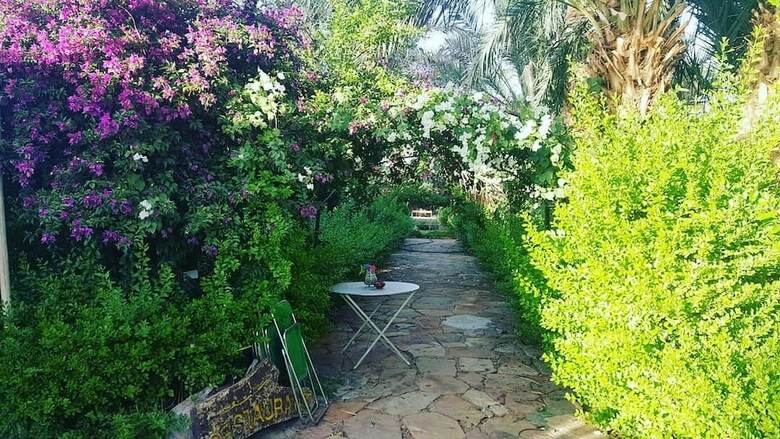 Hotel Camping Amasttou