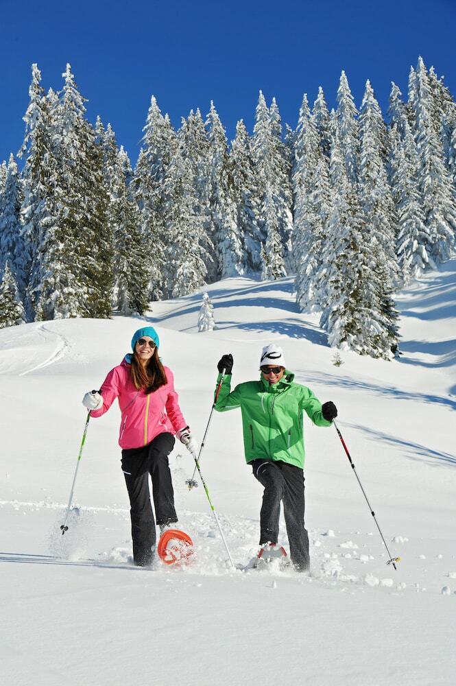 Aparthotel Alpenparks Maria Alm - Appartments