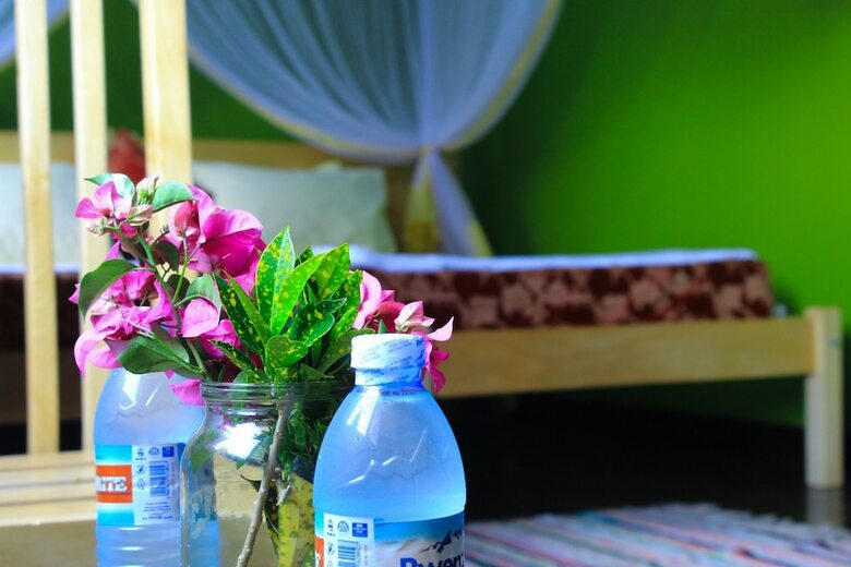 Cycad Entebbe Guest House