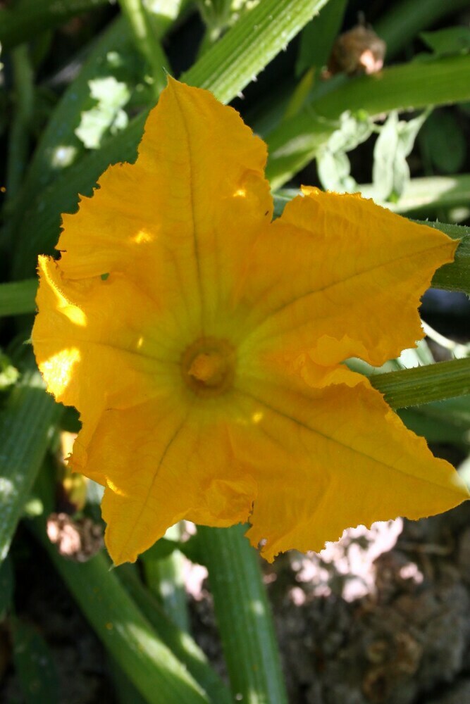 Le Moulin de F�lix Gite En Luberon