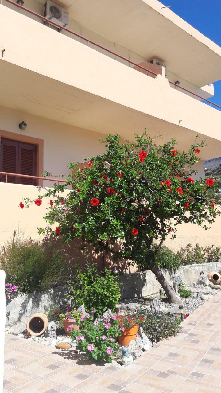 Apartamentos Villa Dora