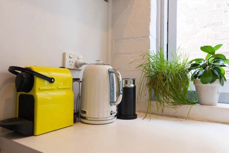 Beautiful Lush And Green Oasis Studio Apartment