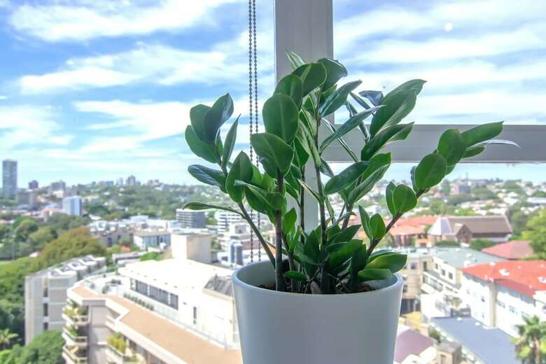 Apartamentos Bright Studio With Amazing City Views