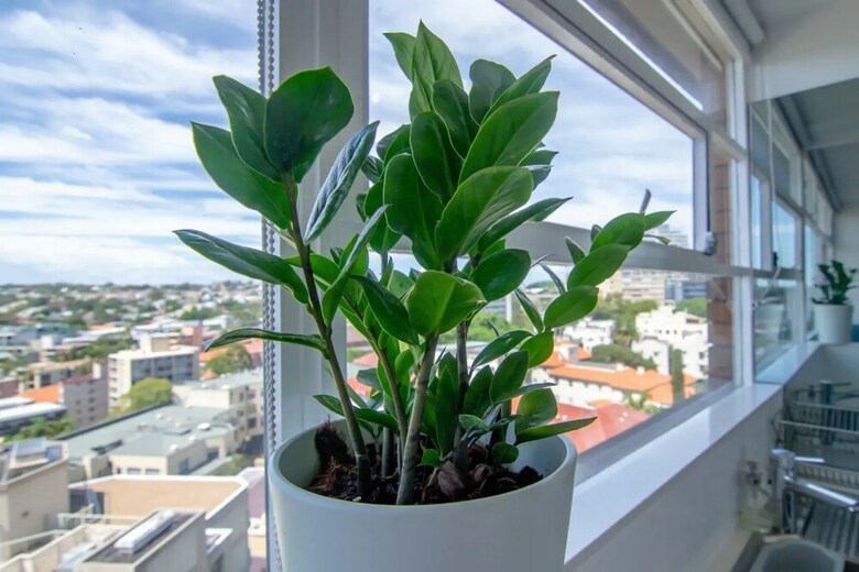 Apartamentos Bright Studio With Amazing City Views