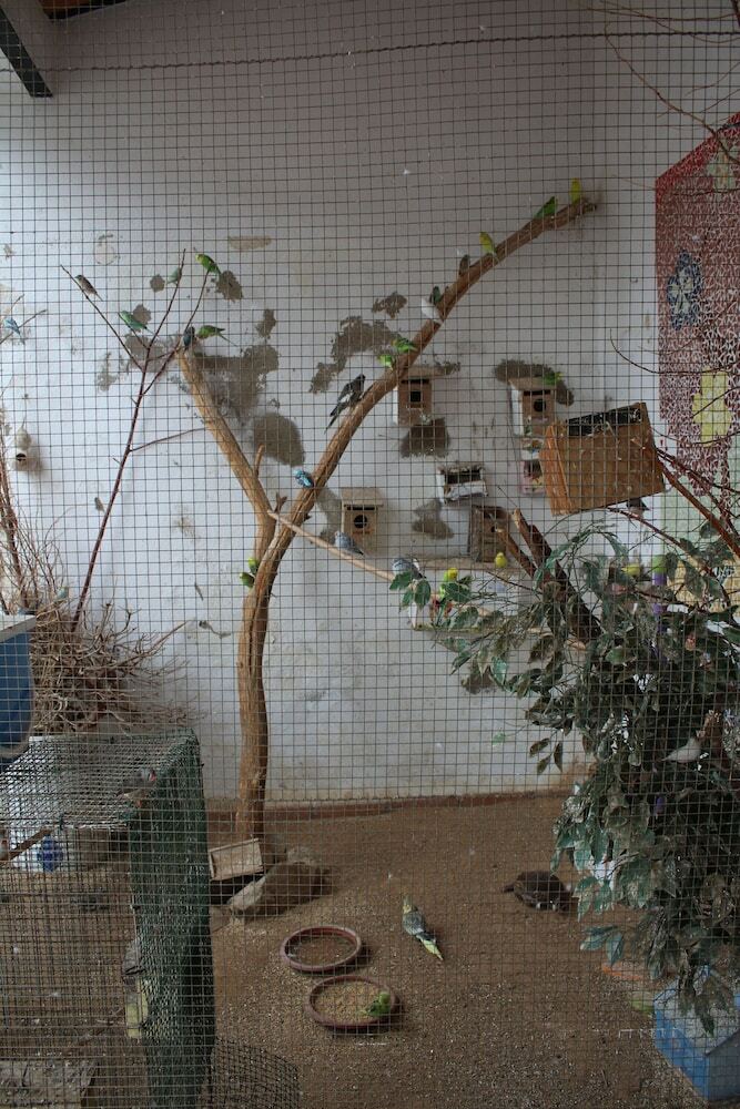 Hostal Albergue Camino de Santiago