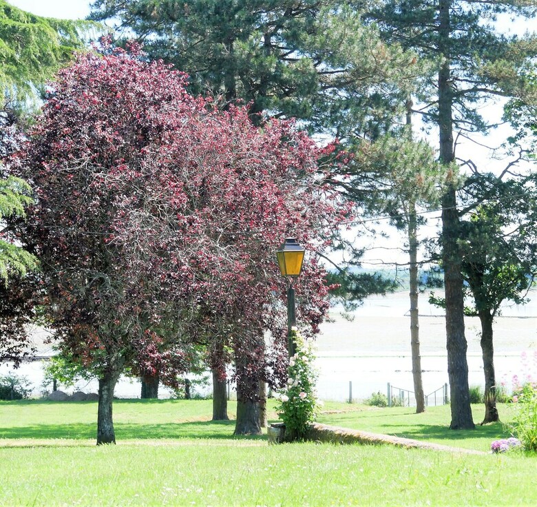 Villa Grande Maison Au C?ur de La Ria D'etel