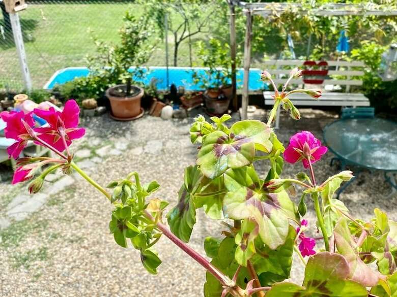 Bed & Breakfast Oca Carolina