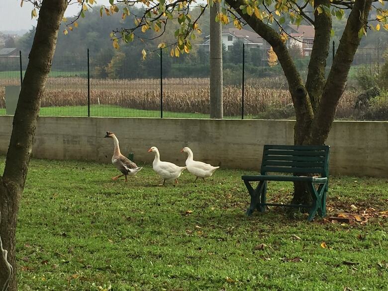 Bed & Breakfast Oca Carolina