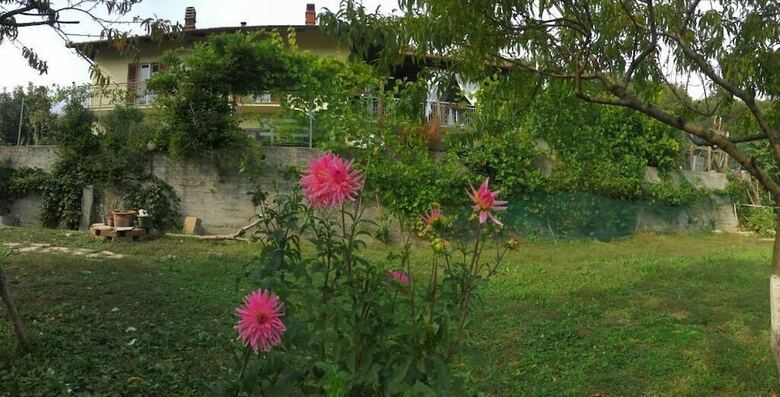 Bed & Breakfast Oca Carolina