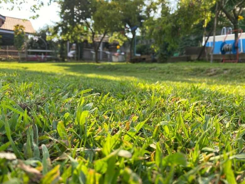 Bed & Breakfast Oca Carolina