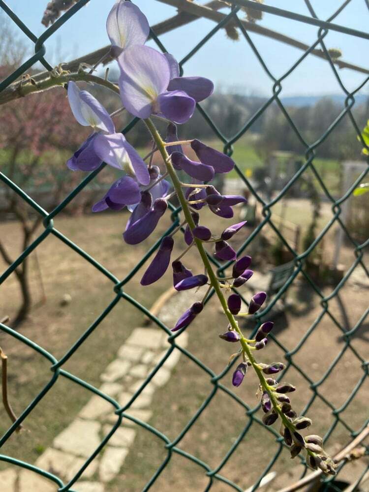 Bed & Breakfast Oca Carolina