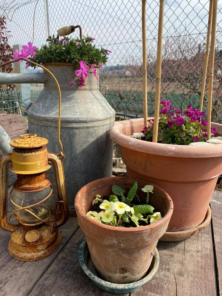 Bed & Breakfast Oca Carolina