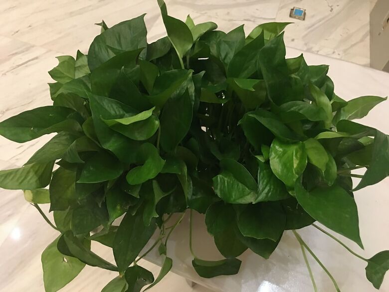 Hostal Beijing Sweet Dream House