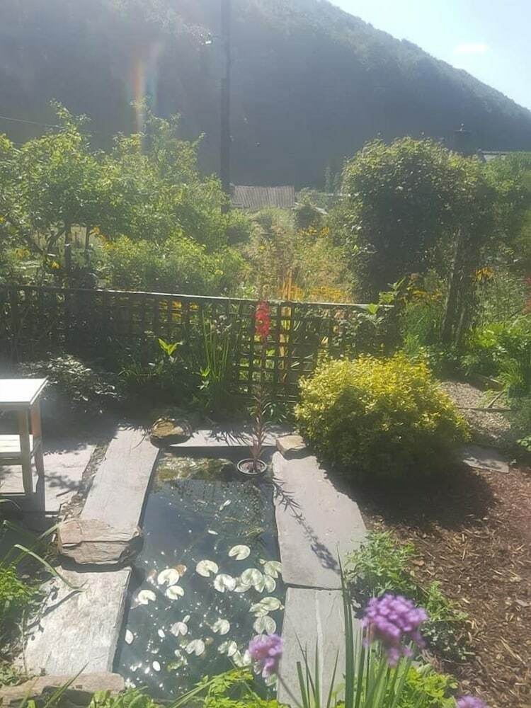 Yr  Hen Farcdy Bed & Breakfast